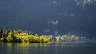 Hallstatt, Salzkammergut/Avusturya - Eylül 14: doğal görünümü o