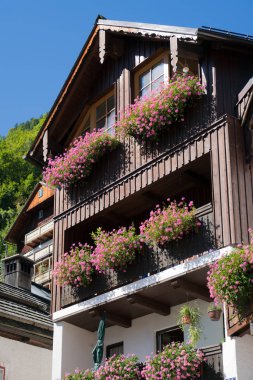 Hallstatt, Salzkammergut/Avusturya - Eylül 14: renkli PIN