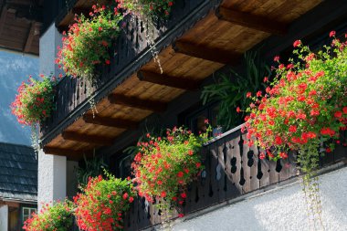 Hallstatt, Salzkammergut/Avusturya - Eylül 14: renkli kırmızı