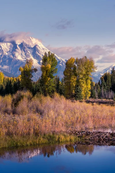 Biberdamm bei Schwabacher Landung — Stockfoto