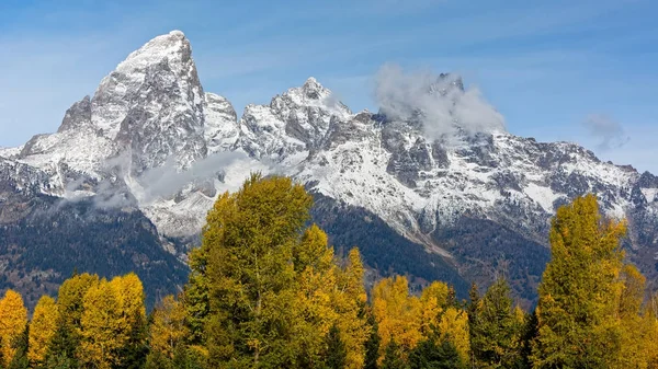 Herfstkleuren in het Nationaal Park Grand Teton — Stockfoto