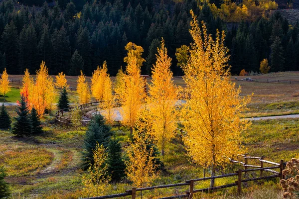 Cores de outono em Wyoming — Fotografia de Stock