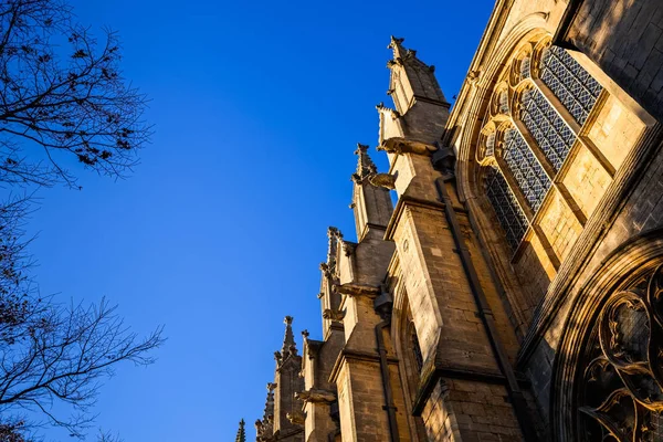 ELY, CAMBRIDGESHIRE / UK - 23 DE NOVIEMBRE: Vista exterior de Ely Cath — Foto de Stock