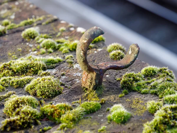 Herrería oxidada y musgo en un puente en Royal Tunbridge Wells —  Fotos de Stock