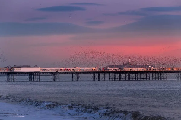 BRIGHTON, ORIENTE SUSSEX / UK - JANEIRO 26: Starlings over the Pier — Fotografia de Stock