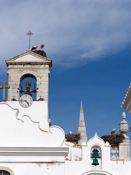 Faro, Jižní Algarve/Portugalsko - 7. března: Čápi v Faro v P — Stock fotografie