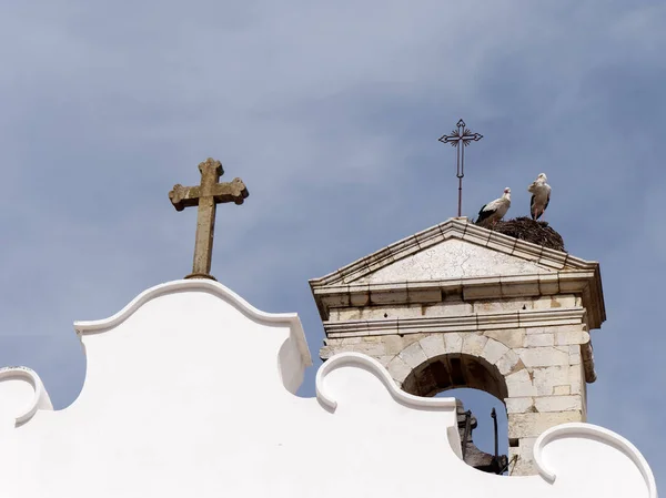 Faro, södra Algarve/Portugal - 7 mars: Storkar på Faro i P — Stockfoto