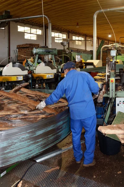 Sao bras de alportel, algarve / portugal - märz 9: korkfabrik — Stockfoto