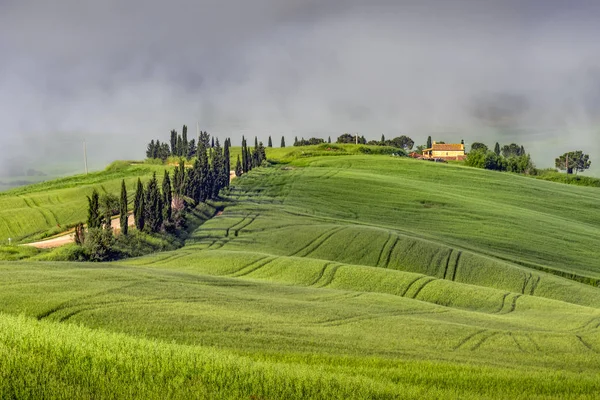 VAL D'ORCIA, TUSCANY/ITALY - MAY 22 : Scenery of Val d'Orcia in — Stock Photo, Image