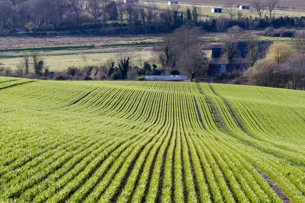 SEAFORD CERCA, SUSSEX / Reino Unido - 5 DE ABRIL: Vista de las tierras agrícolas cerca de Seafo — Foto de Stock