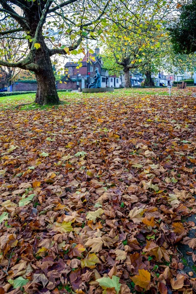 GRINSTEAD ORIENTE, SUSSEX OCCIDENTALE / UK - 7 NOVEMBRE: Caduta Londra Pla — Foto Stock