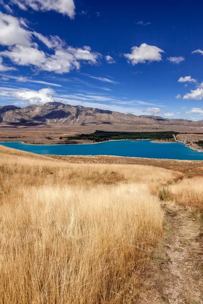 Vista panorámica del campo alrededor del lago Tekapo en Nueva Zelanda — Foto de Stock