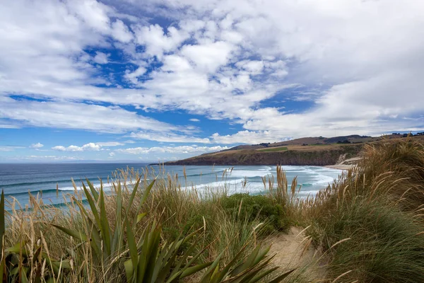 新西兰南岛的沙蝇湾景观 — 图库照片