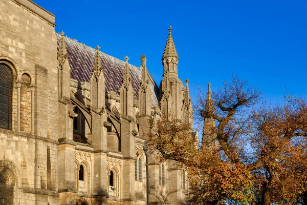 ELY, CAMBRIDGESHIRE / UK - NOVEMBRO 23: Vista exterior de Ely Cath — Fotografia de Stock