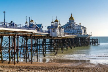 Eastbourne, Doğu Sussex / Uk - 18 Ocak: Eastbourne Turtası