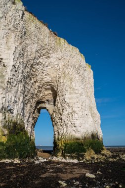 Kent Broadstairs yakınlarındaki Botany Bay 'deki tebeşir kayalıklarının görüntüsü