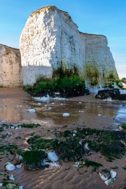 Kent Broadstairs yakınlarındaki Botany Bay 'deki tebeşir kayalıklarının görüntüsü