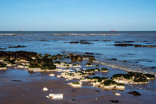 Rochers calcaires exposés à marée basse dans la baie Botany près de Broadstairs i — Photo