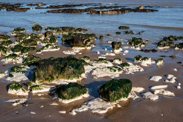Rochers calcaires exposés à marée basse dans la baie Botany près de Broadstairs i — Photo