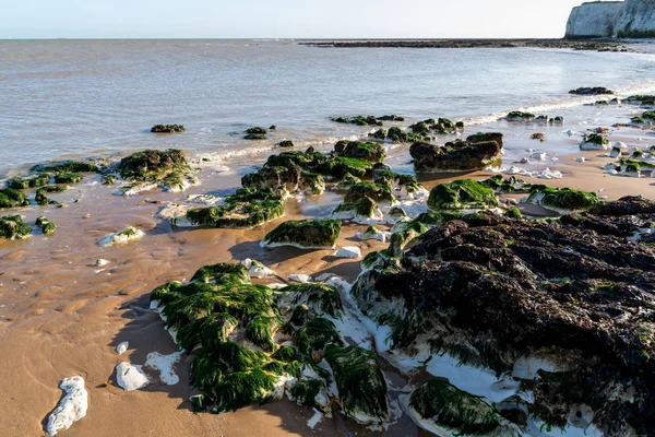 Rochers calcaires exposés à marée basse dans la baie Botany près de Broadstairs i — Photo