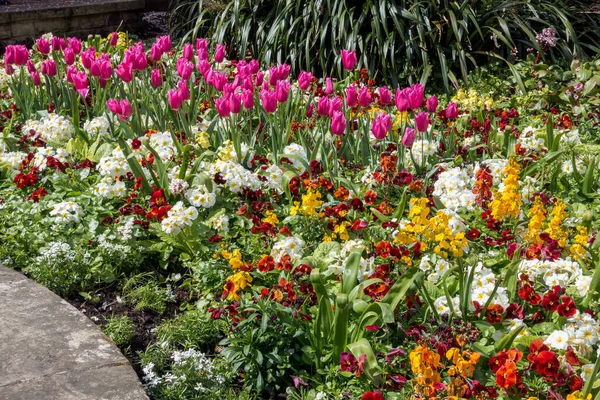 Colourful Flowerbed Display East Grinstead — Stock Photo, Image