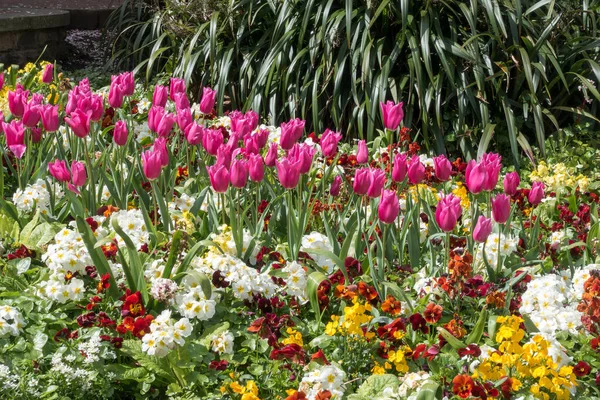 Exibição Canteiro Flores Colorido East Grinstead — Fotografia de Stock