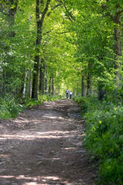 EAST GRINSTEAD, Batı SUSSEX / UK - 6 Mayıs 2020 tarihinde Doğu Grinstead, Batı Sussex yakınlarındaki bir ilkbahar güneşinde iki kişi bisiklet sürüyor. Kimliği belirsiz iki kişi.