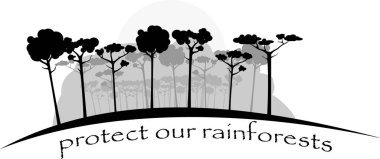 Yağmur ormanları içinde gri renkler