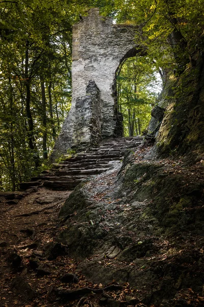 Camino oscuro en el bosque con la ruina de la puerta cerca del castillo Bezdez — Foto de Stock
