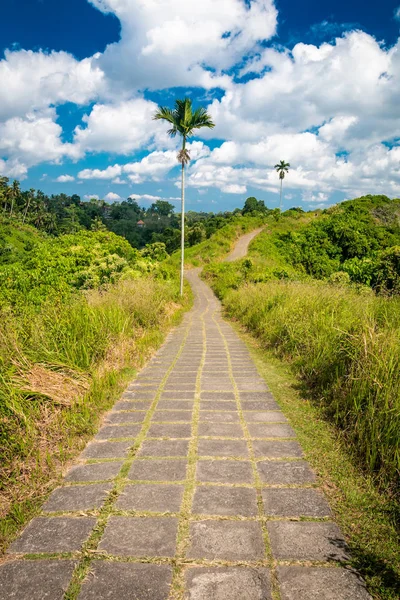 Campuhan Ridge Walk em Bali — Fotografia de Stock