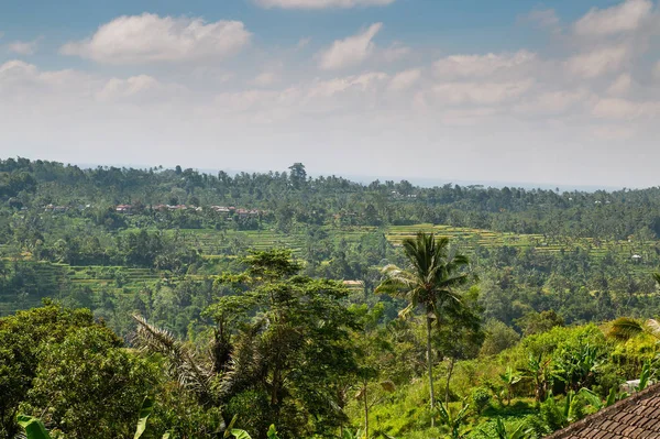 Bali landschap — Stockfoto