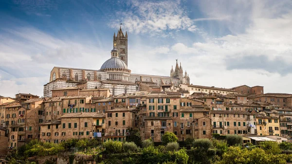 Siena Cathedral Duomo Шедевр Італійської Романської Готики — стокове фото