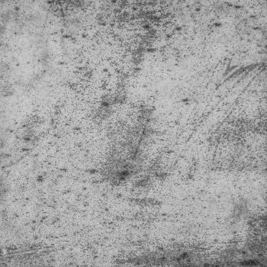 sisli iğne yapraklı ağaç içinde ağaç patika 