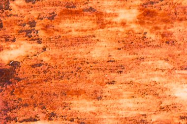 sisli iğne yapraklı ağaç içinde ağaç patika 