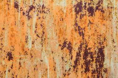 sisli iğne yapraklı ağaç içinde ağaç patika 