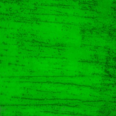 sisli iğne yapraklı ağaç içinde ağaç patika 