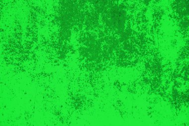 sisli iğne yapraklı ağaç içinde ağaç patika 