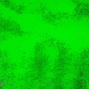 sisli iğne yapraklı ağaç içinde ağaç patika 