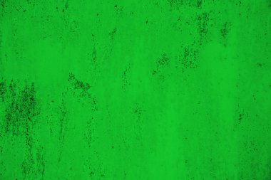 sisli iğne yapraklı ağaç içinde ağaç patika 