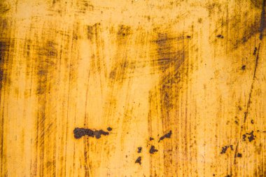 sisli iğne yapraklı ağaç içinde ağaç patika 