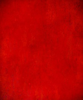 sisli iğne yapraklı ağaç içinde ağaç patika 