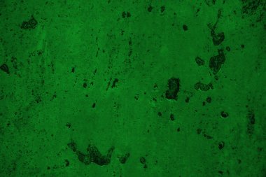 sisli iğne yapraklı ağaç içinde ağaç patika 