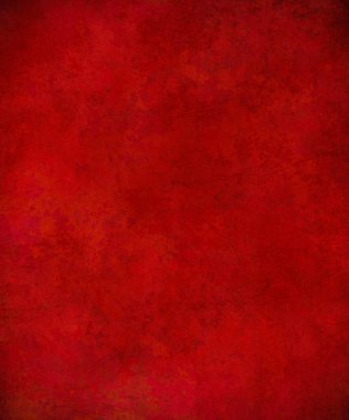 sisli iğne yapraklı ağaç içinde ağaç patika 