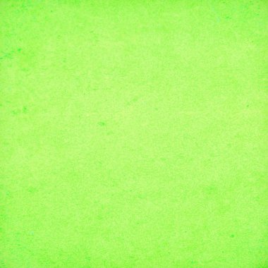 sisli iğne yapraklı ağaç içinde ağaç patika 