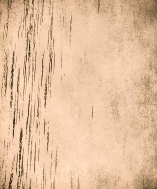 sisli iğne yapraklı ağaç içinde ağaç patika 