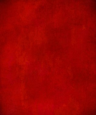 sisli iğne yapraklı ağaç içinde ağaç patika 