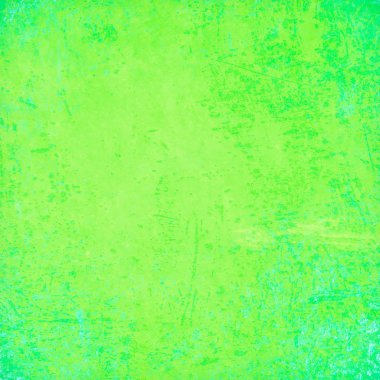 sisli iğne yapraklı ağaç içinde ağaç patika 