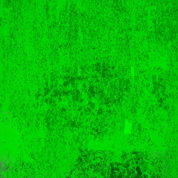 sisli iğne yapraklı ağaç içinde ağaç patika 