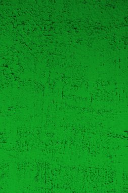 sisli iğne yapraklı ağaç içinde ağaç patika 