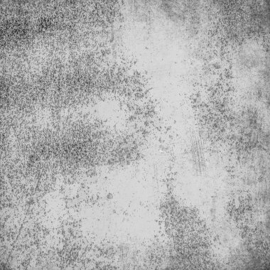 sisli iğne yapraklı ağaç içinde ağaç patika 